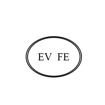 EV FE商标转让