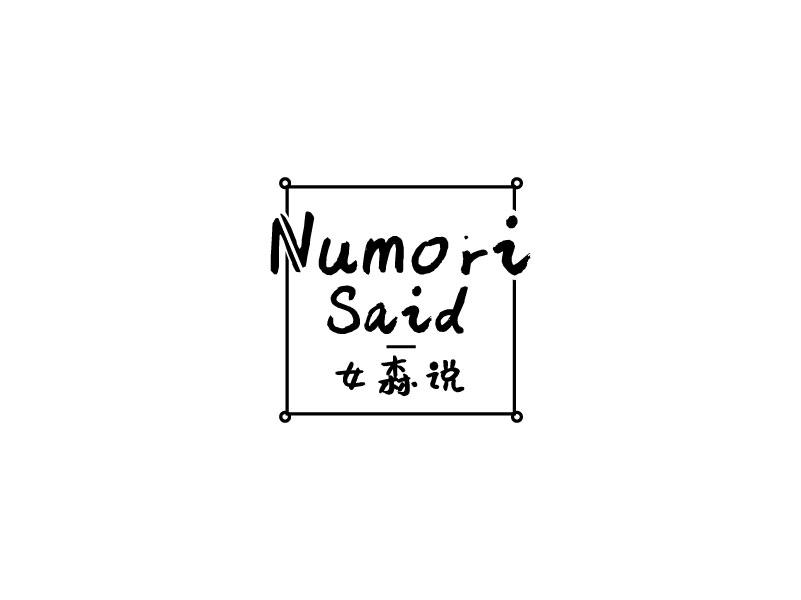 女森说 NUMORI SAID商标转让