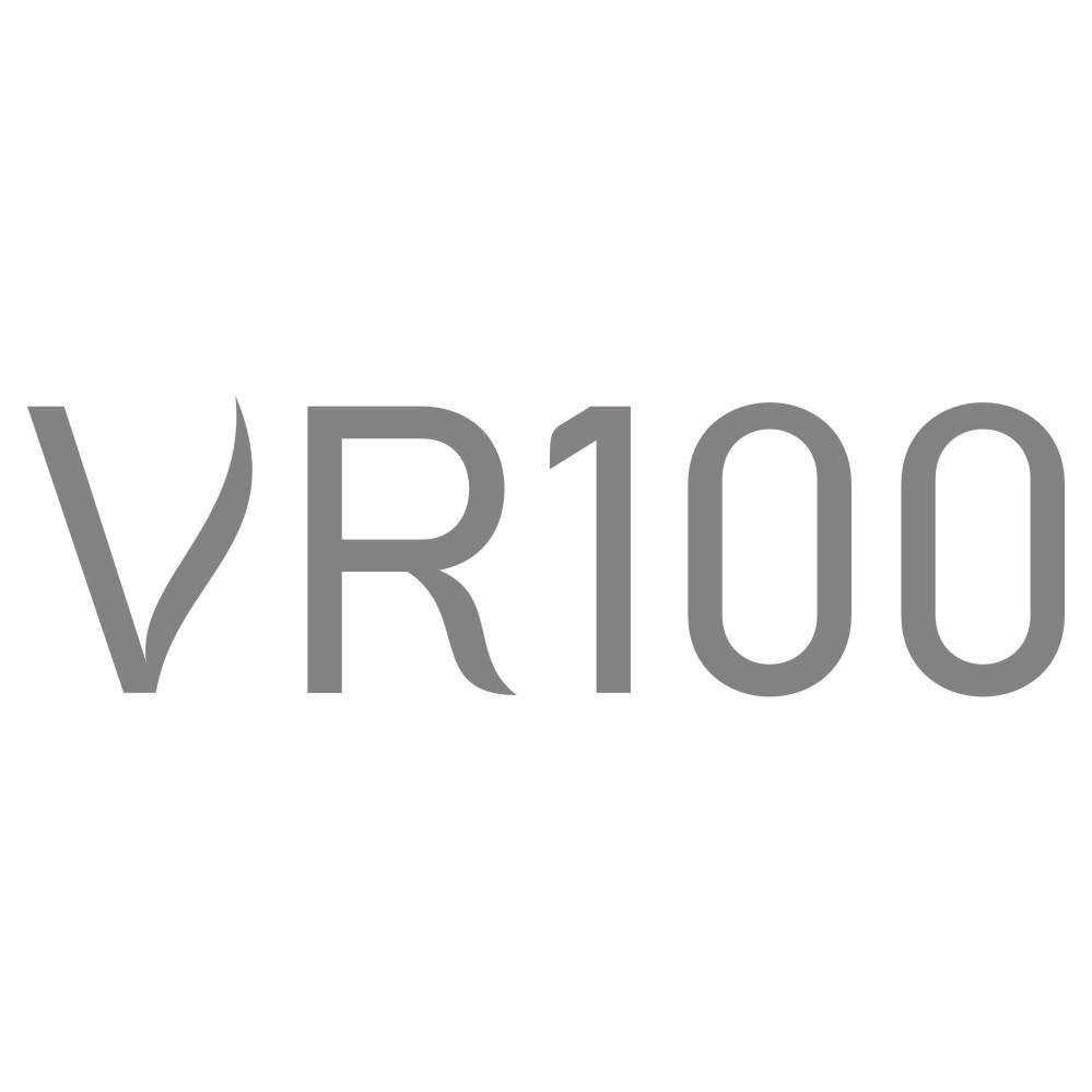 VR100商标转让