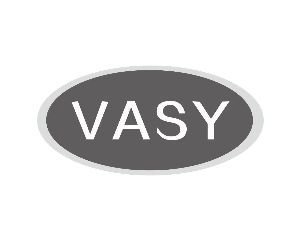 VASY商标转让