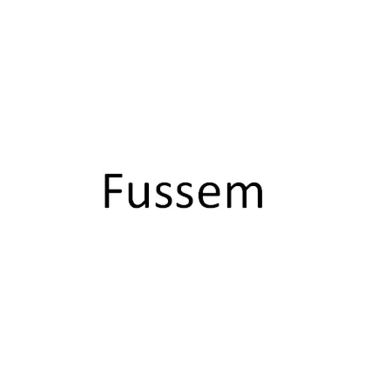 FUSSEM商标转让