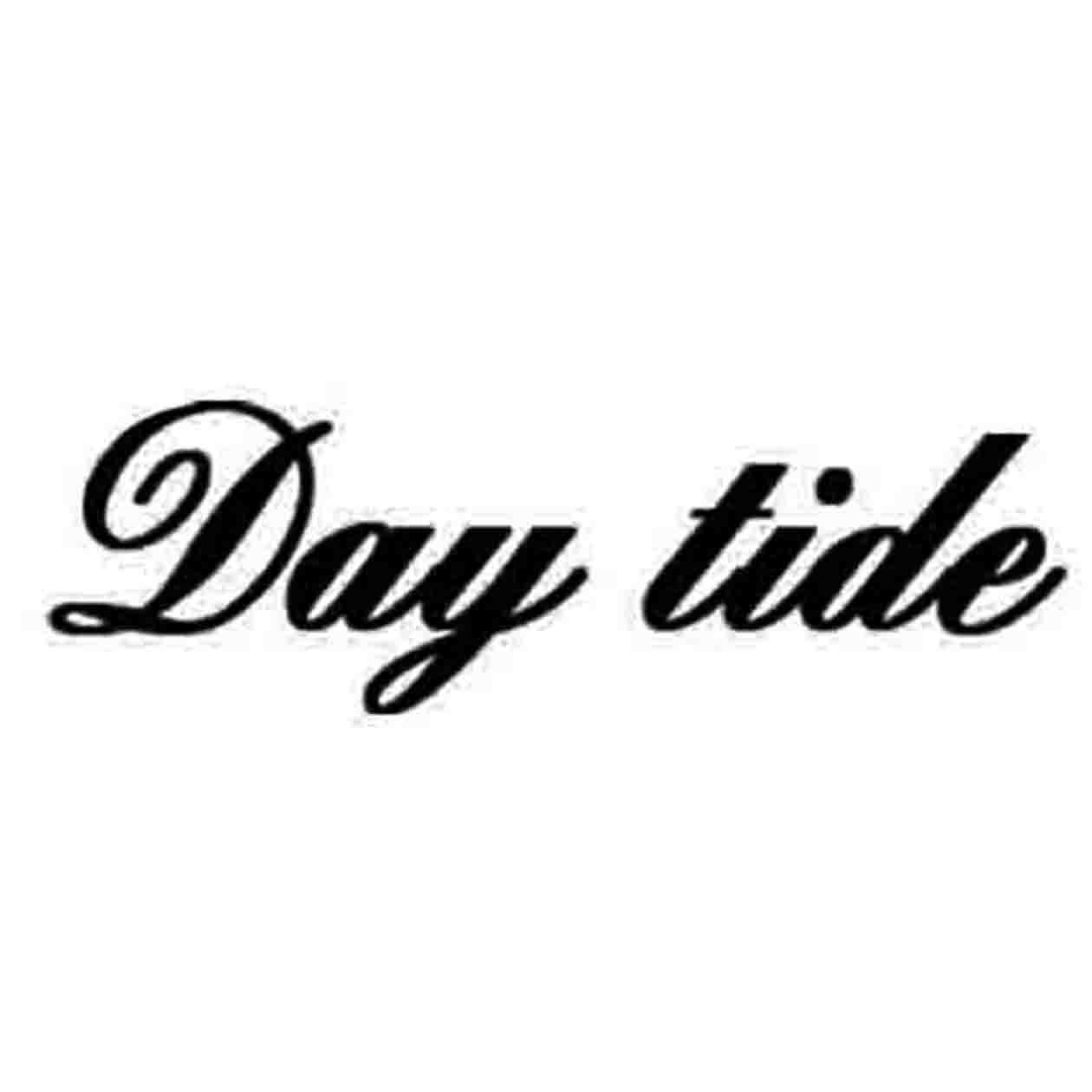 DAY TIDE商标转让