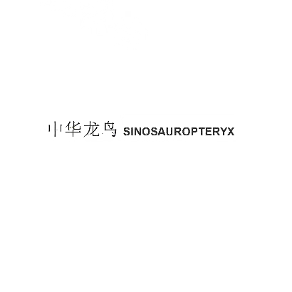 中华龙鸟 SINOSAUROPTERYX商标转让