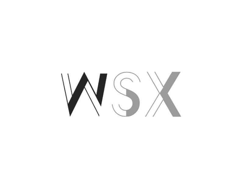 WSX商标转让