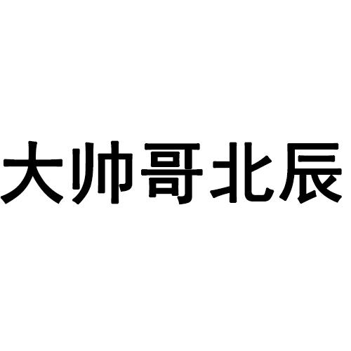 大帅哥北辰商标转让