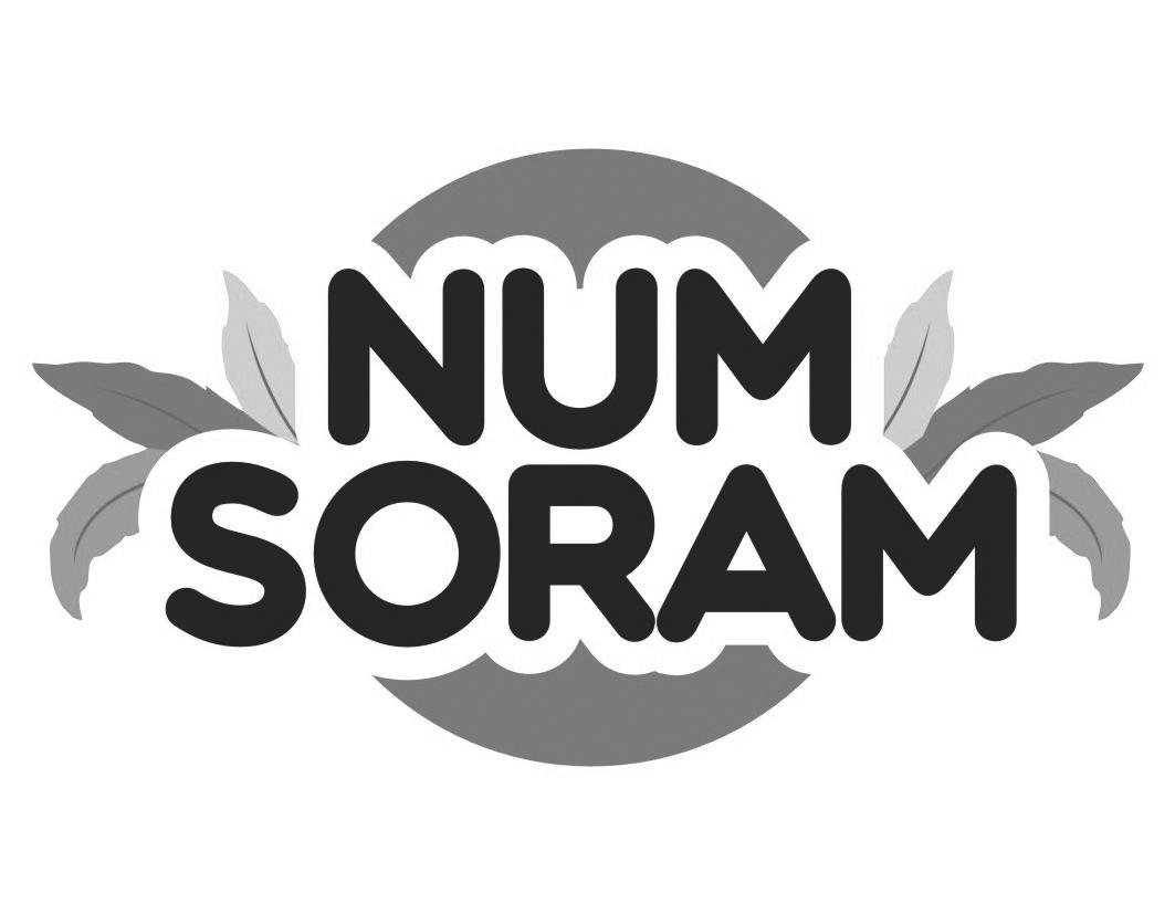 NUM SORAM商标转让