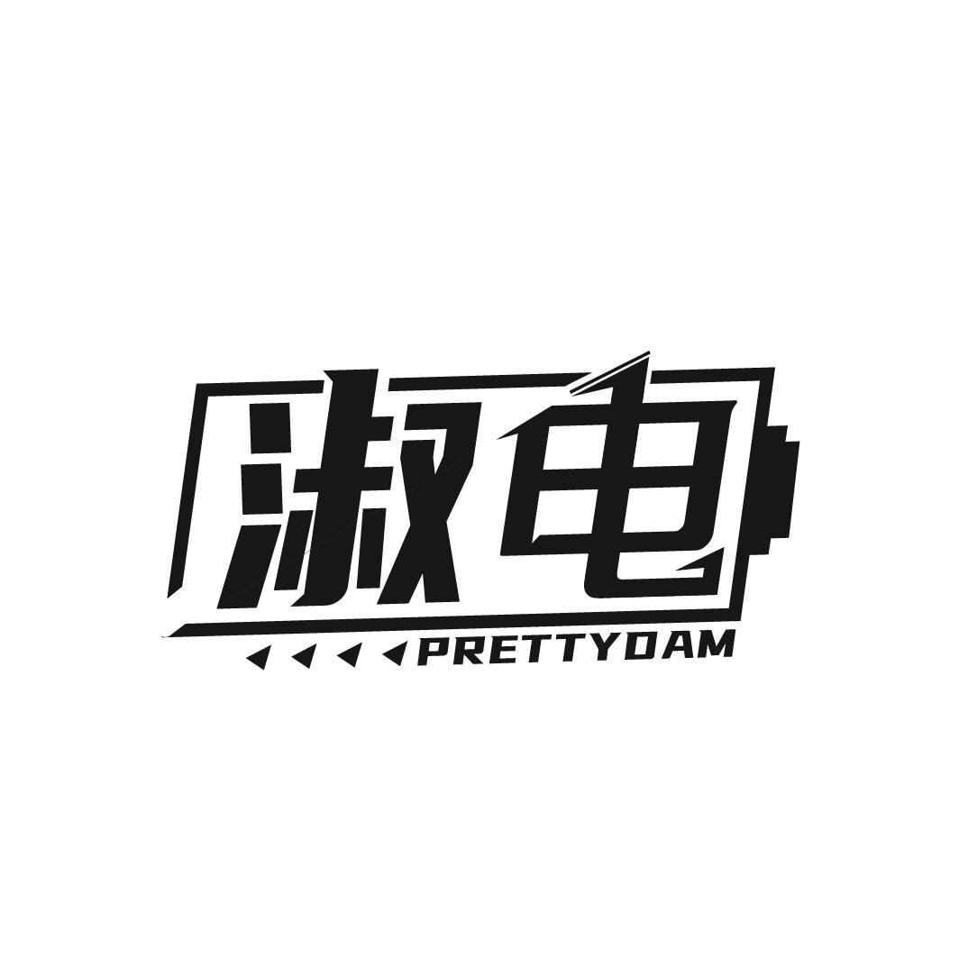 淑电 PRETTYDAM商标转让