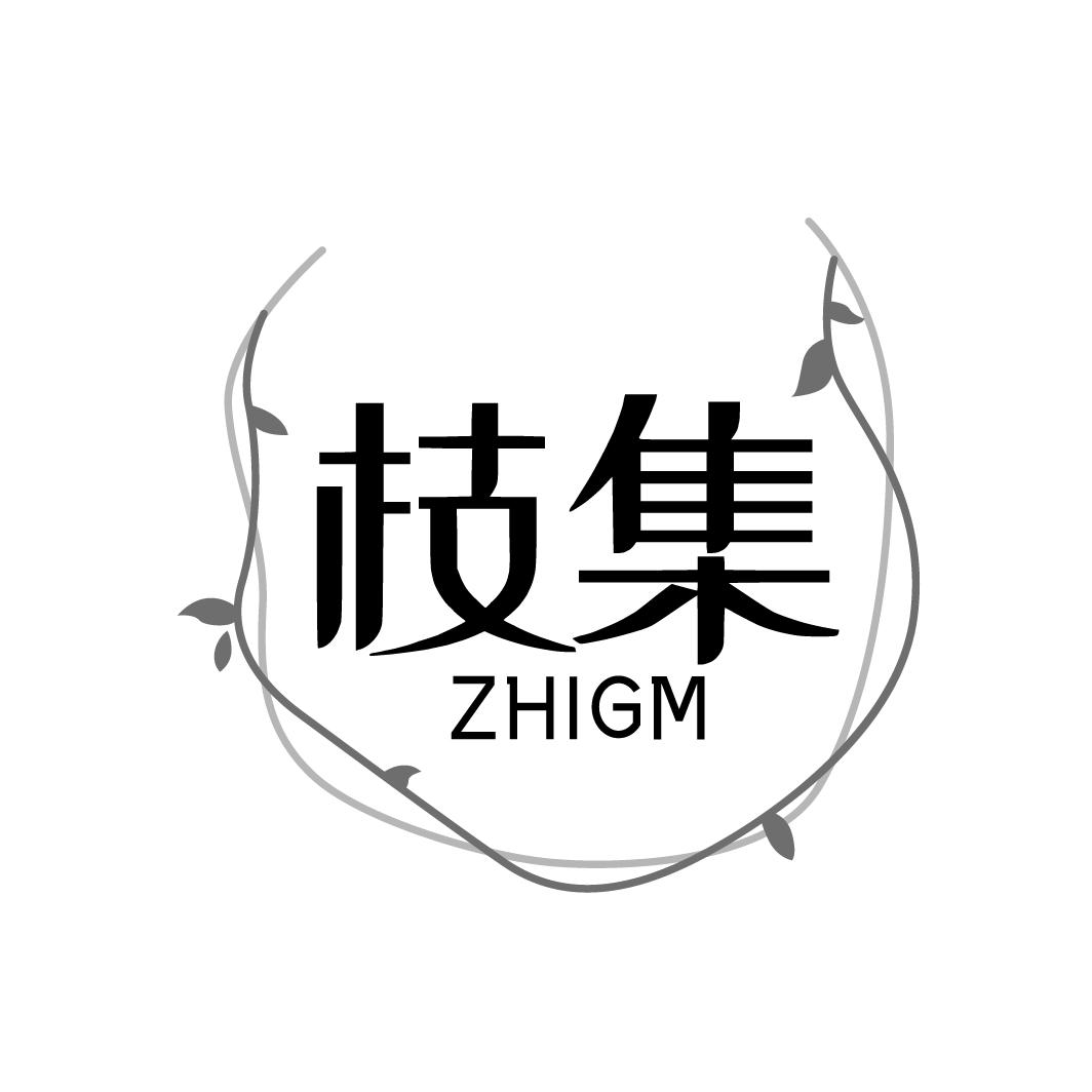 枝集 ZHIGM商标转让