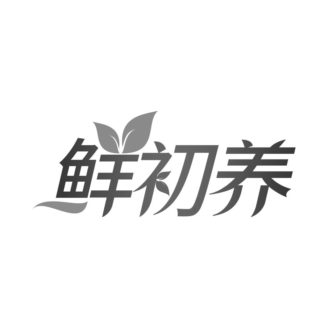 鲜初养商标转让