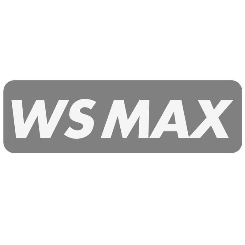 WSMAX商标转让