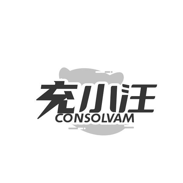 充小汪 CONSOLVAM商标转让