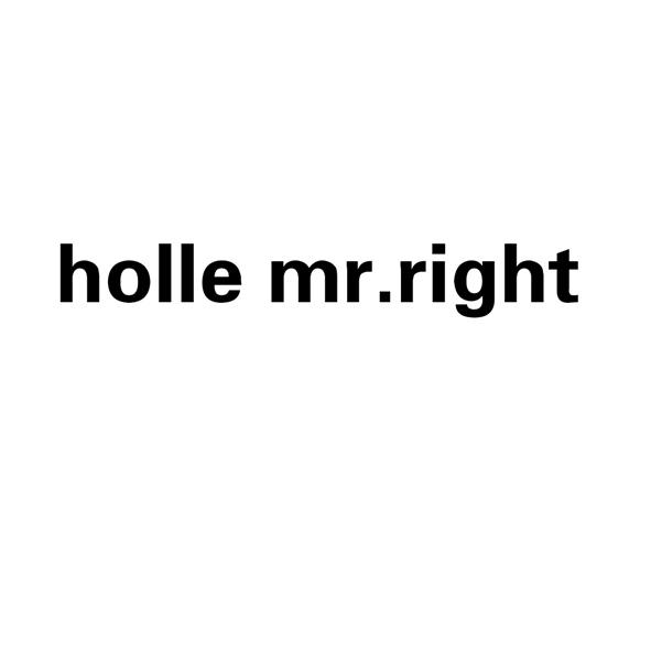 HOLLE MR.RIGHT商标转让