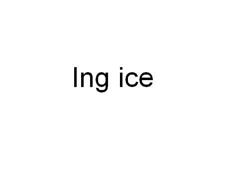 LNG ICE商标转让