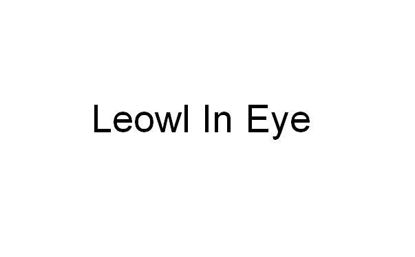 LEOWL IN EYE商标转让