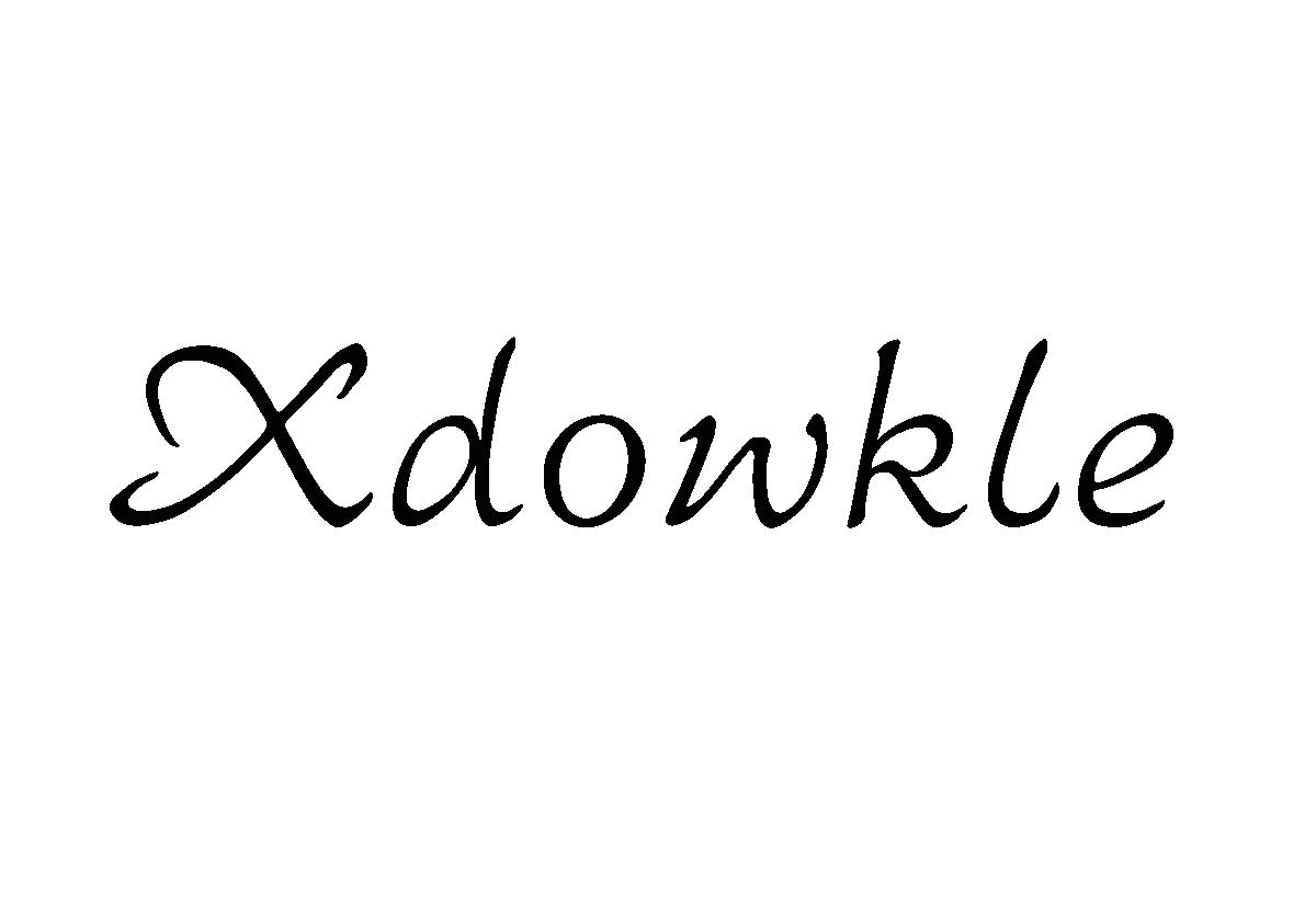 XDOWKLE商标转让