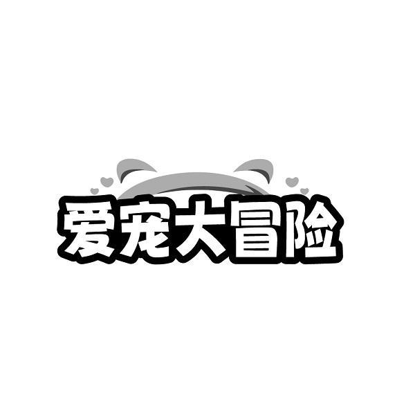 第18类-皮革皮具