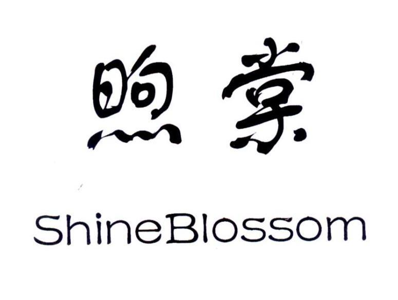 煦棠 SHINEBLOSSOM商标转让