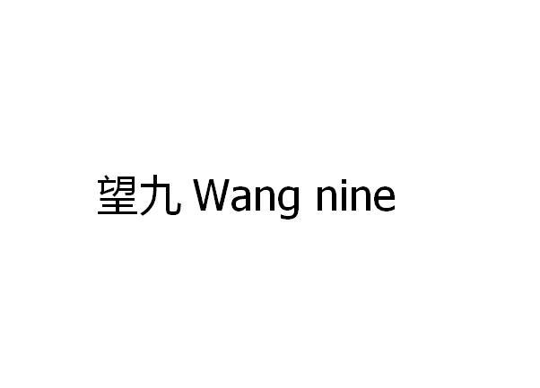 望九 WANG NINE商标转让