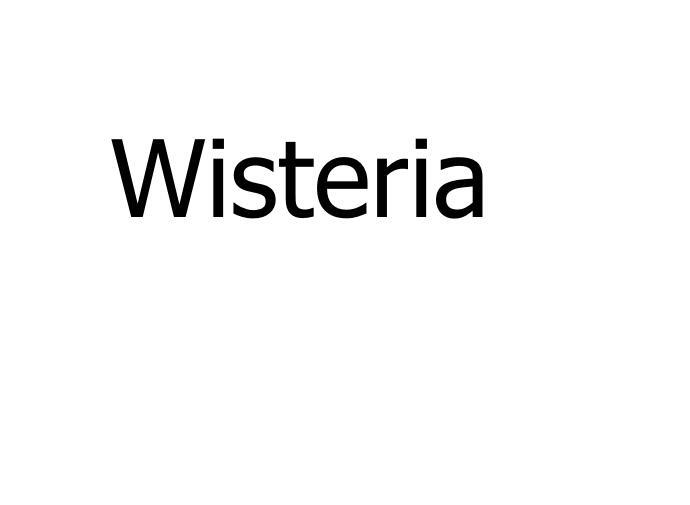 WISTERIA商标转让