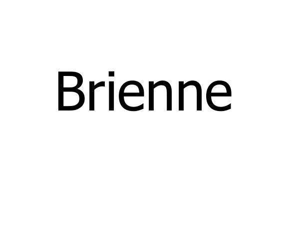 BRIENNE商标转让