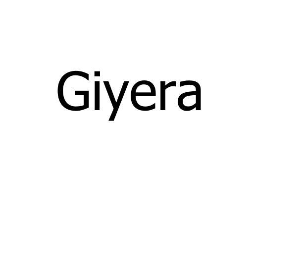 GIYERA商标转让