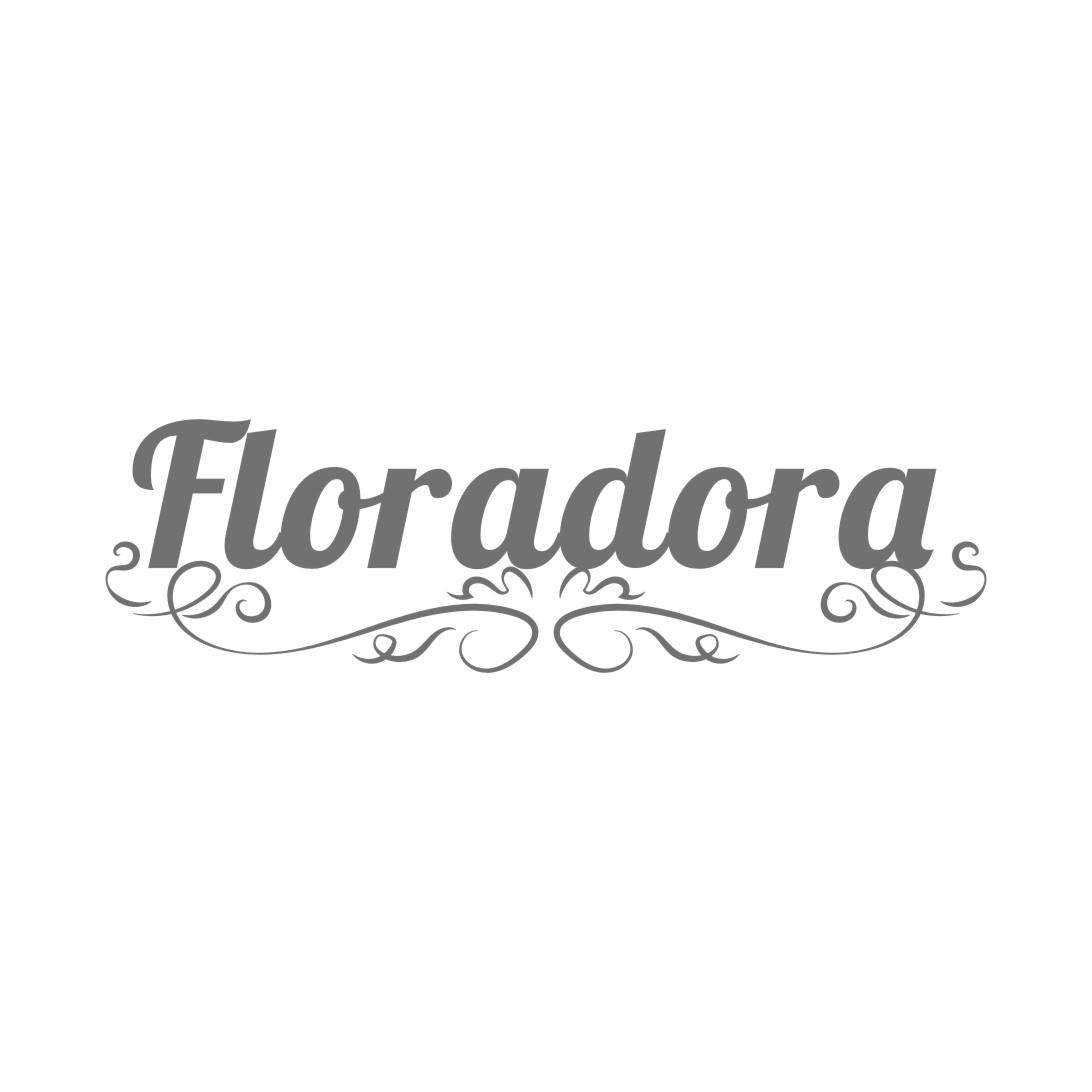 FLORADORA商标转让