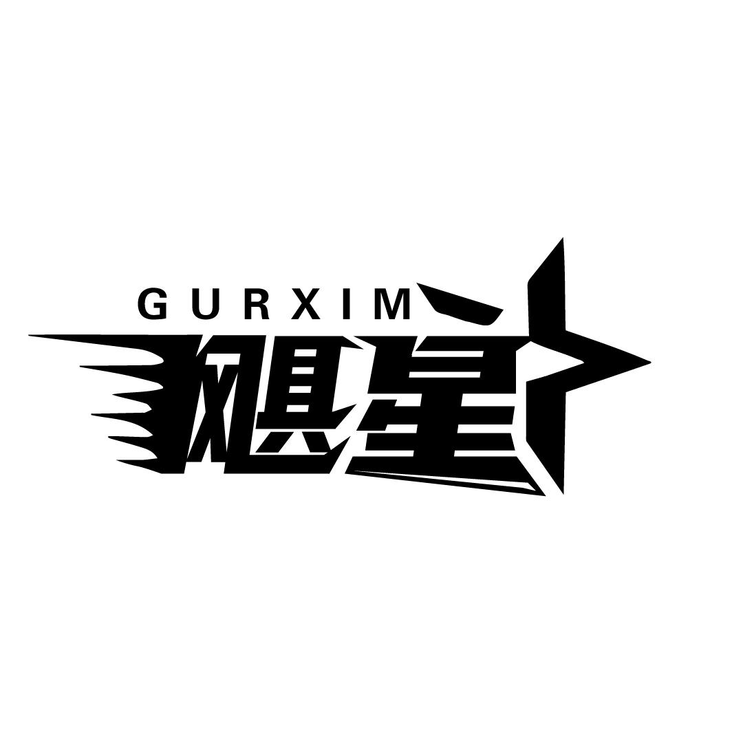 飓星 GURXIM商标转让