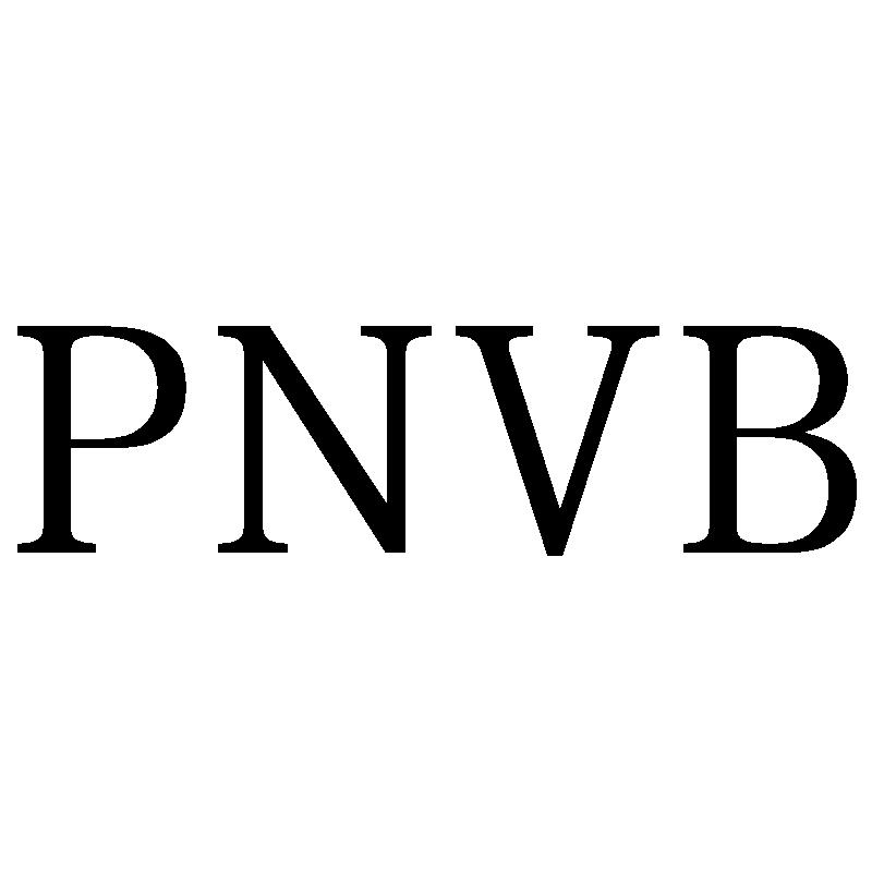 PNVB商标转让