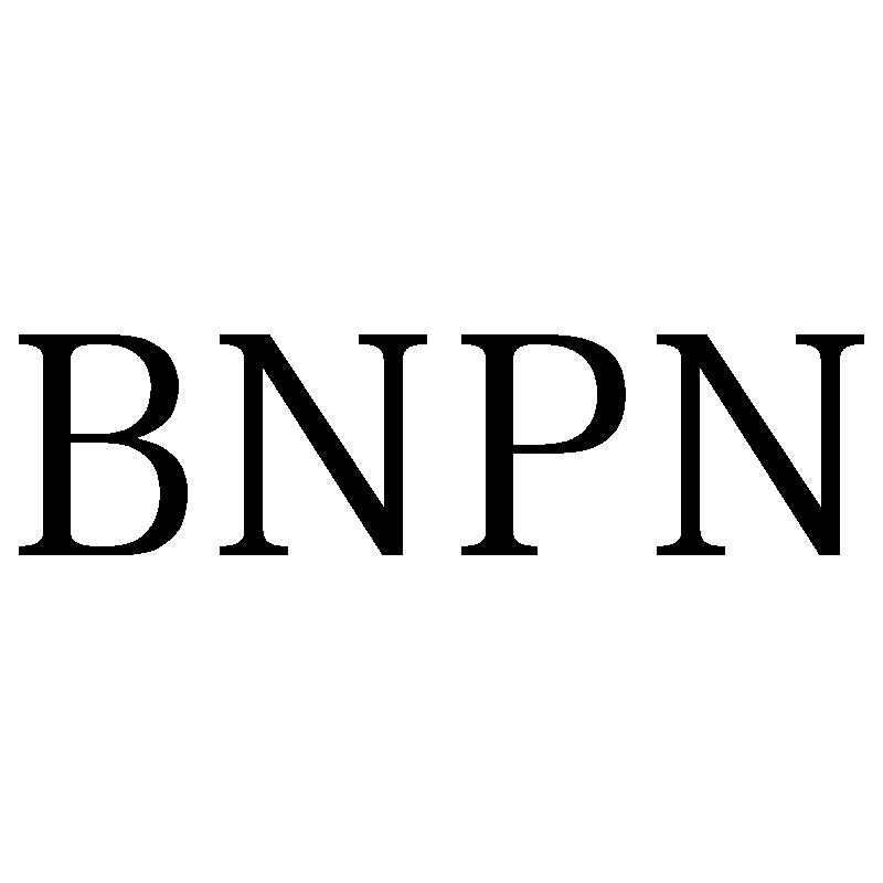 BNPN商标转让