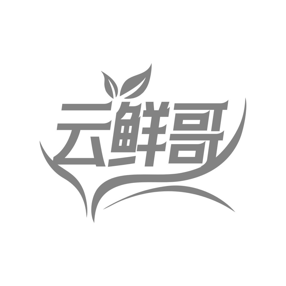 云鲜哥商标转让