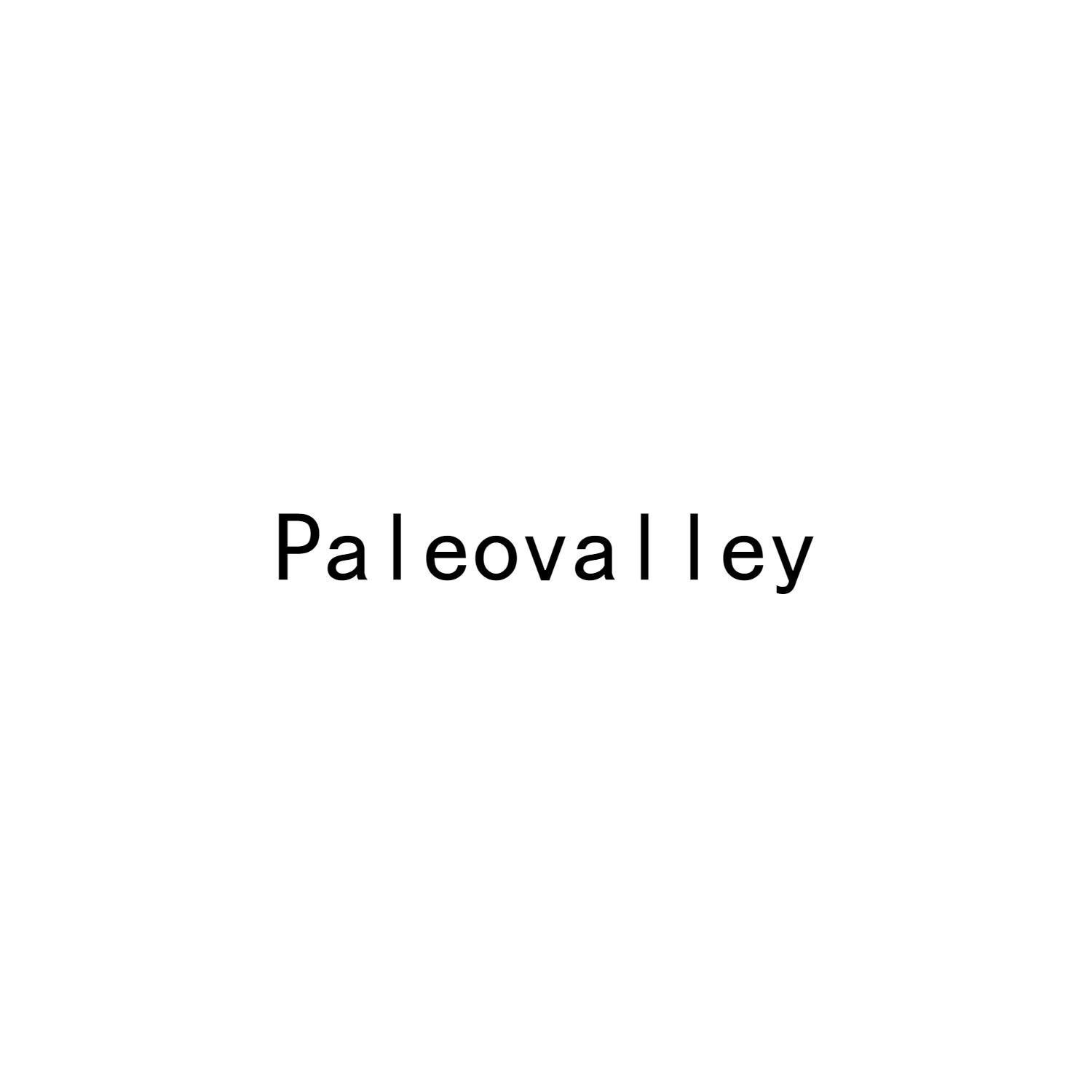 PALEOVALLEY商标转让