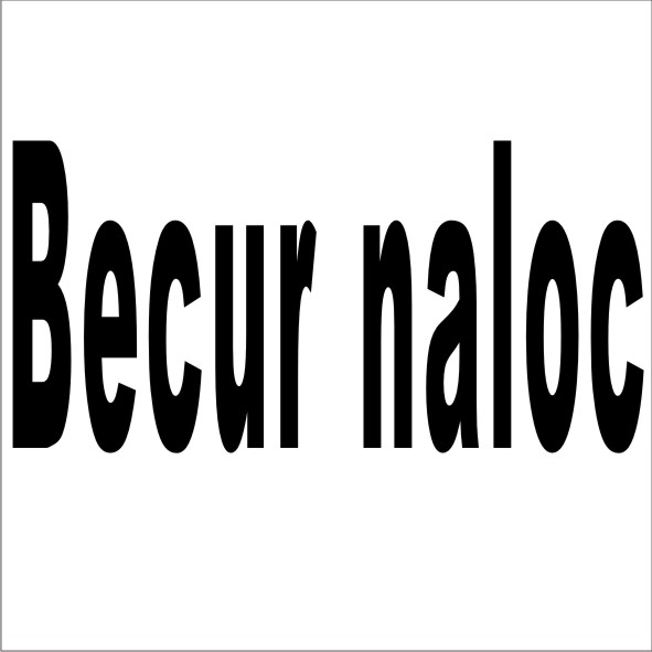 BECUR NALOC商标转让