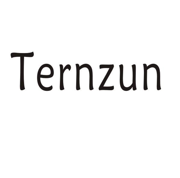 TERNZUN商标转让