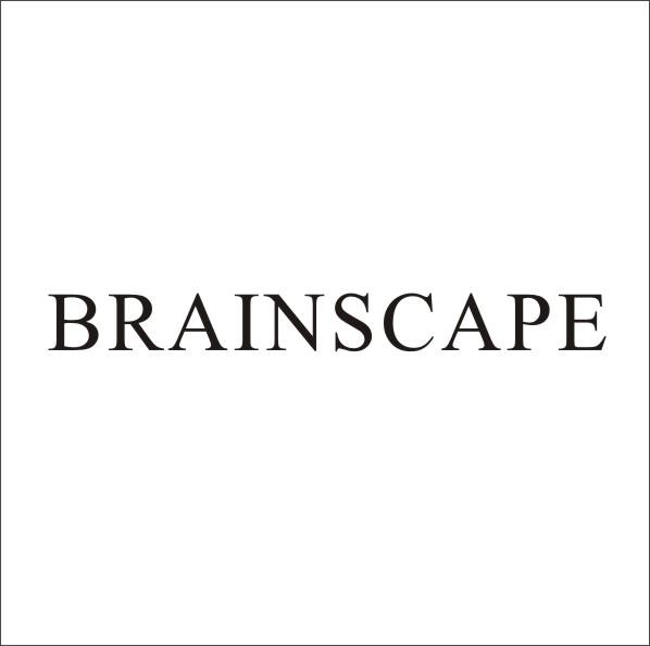 BRAINSCAPE商标转让