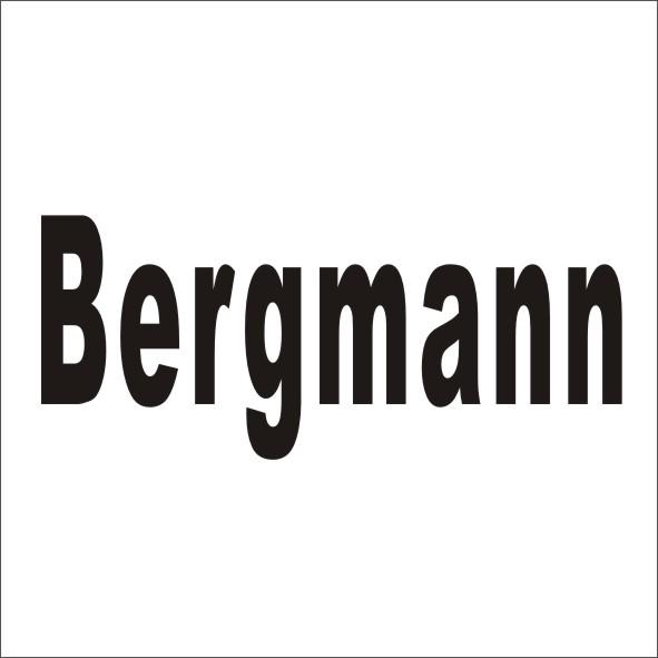 BERGMANN商标转让