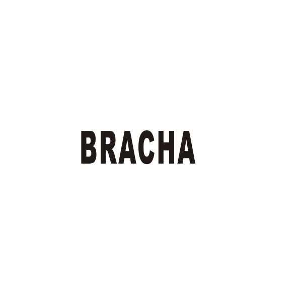 BRACHA商标转让