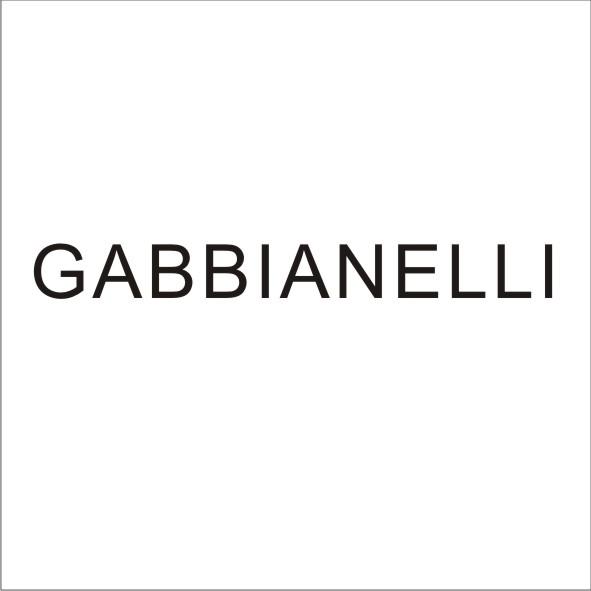 GABBIANELLI商标转让