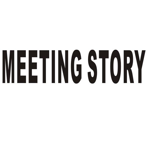 MEETING STORY商标转让