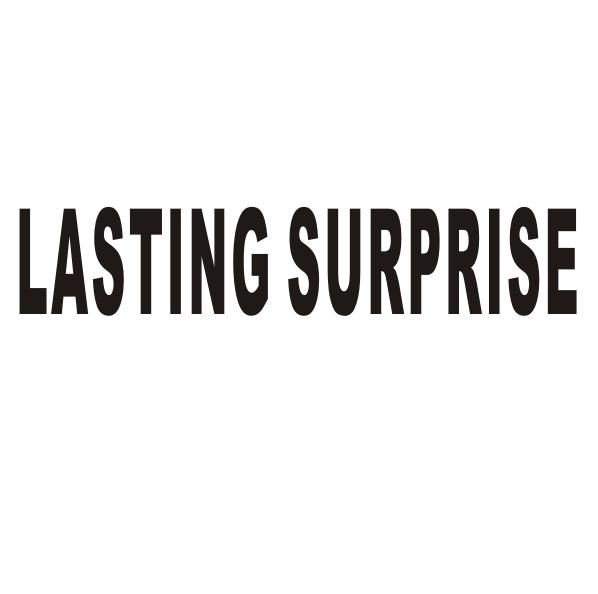 LASTING SURPRISE商标转让