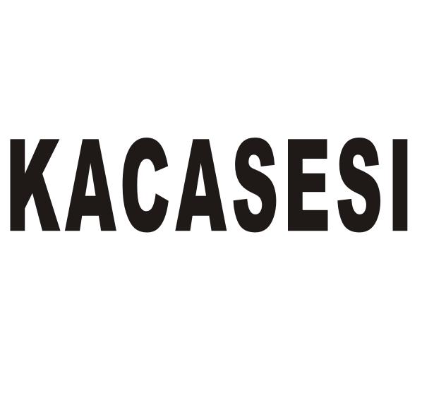 KACASESI商标转让