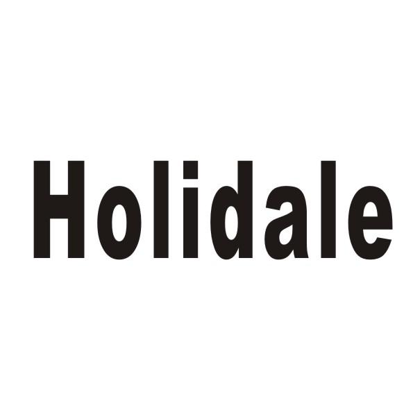 HOLIDALE商标转让