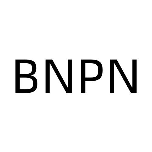 BNPN商标转让