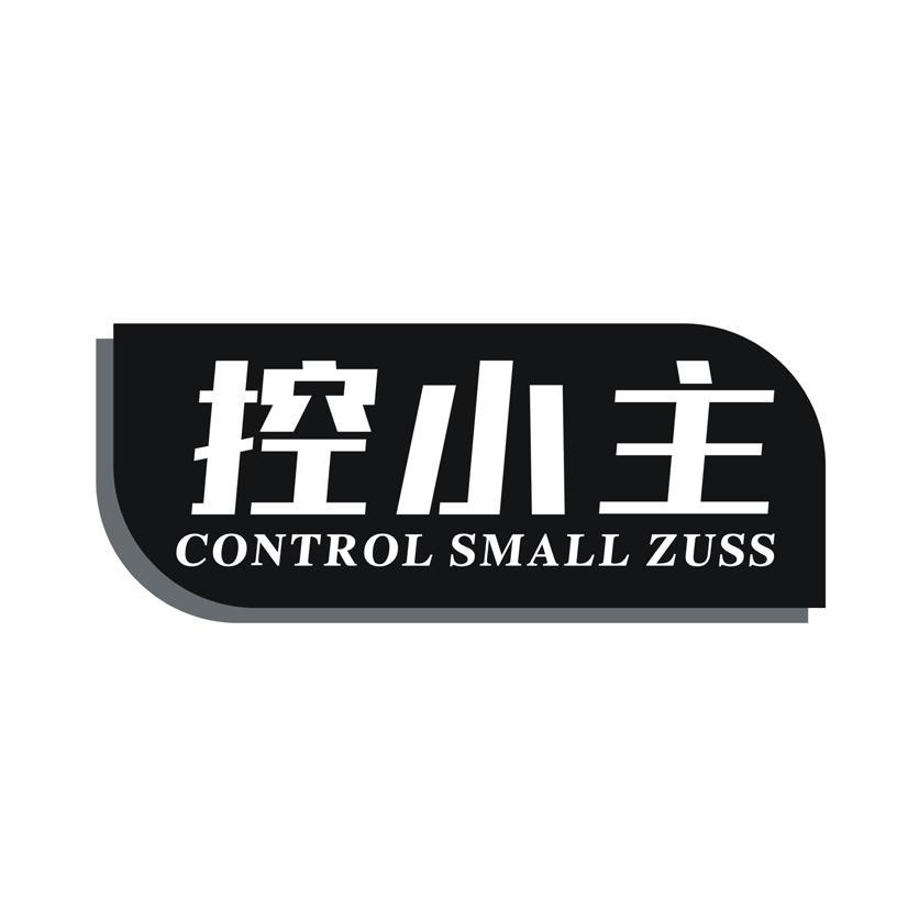 控小主 CONTROL SMALL ZUSS商标转让