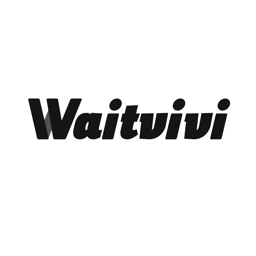 WAITVIVI商标转让