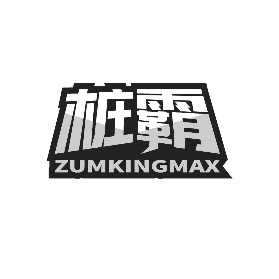 桩霸 ZUMKINGMAX商标转让