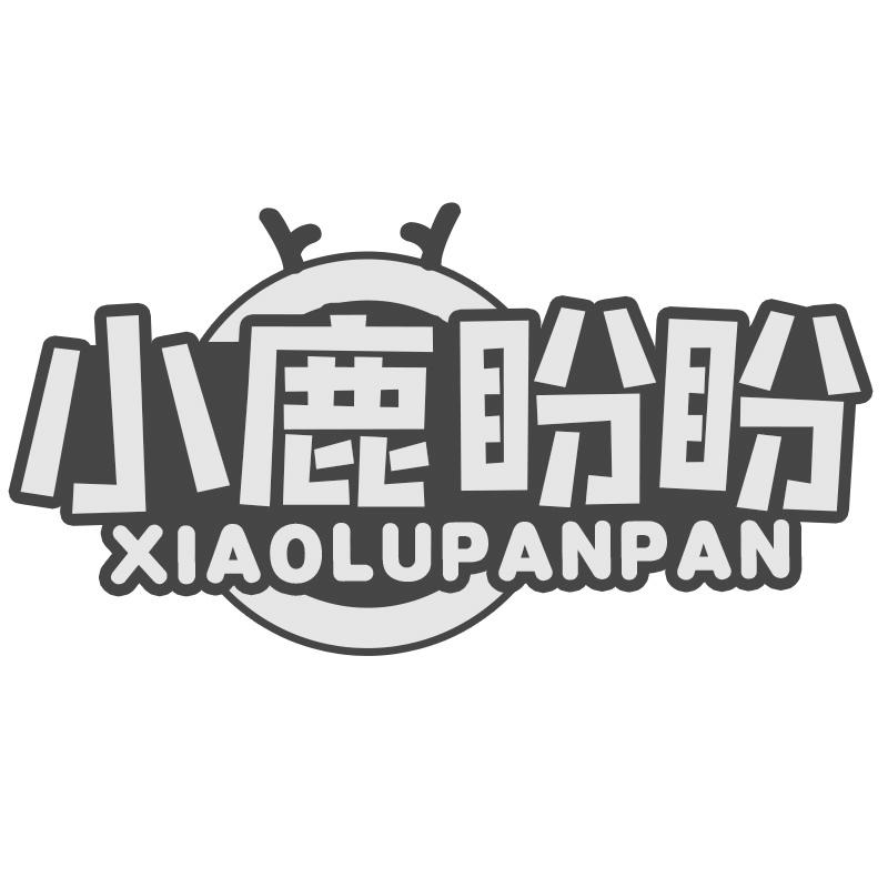 第16类-办公用品