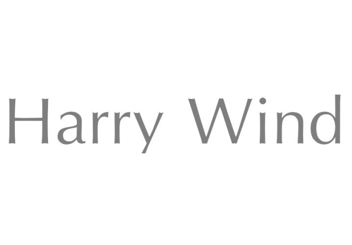 HARRY WIND商标转让