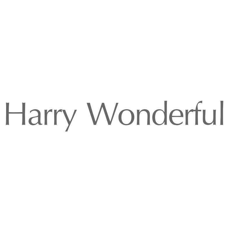 HARRY WONDERFUL商标转让