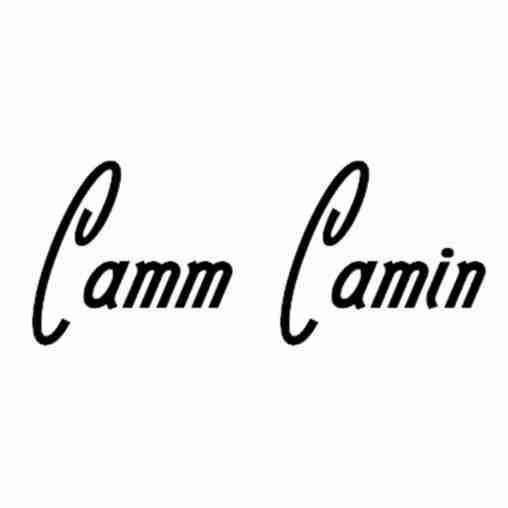 CAMM CAMIN商标转让