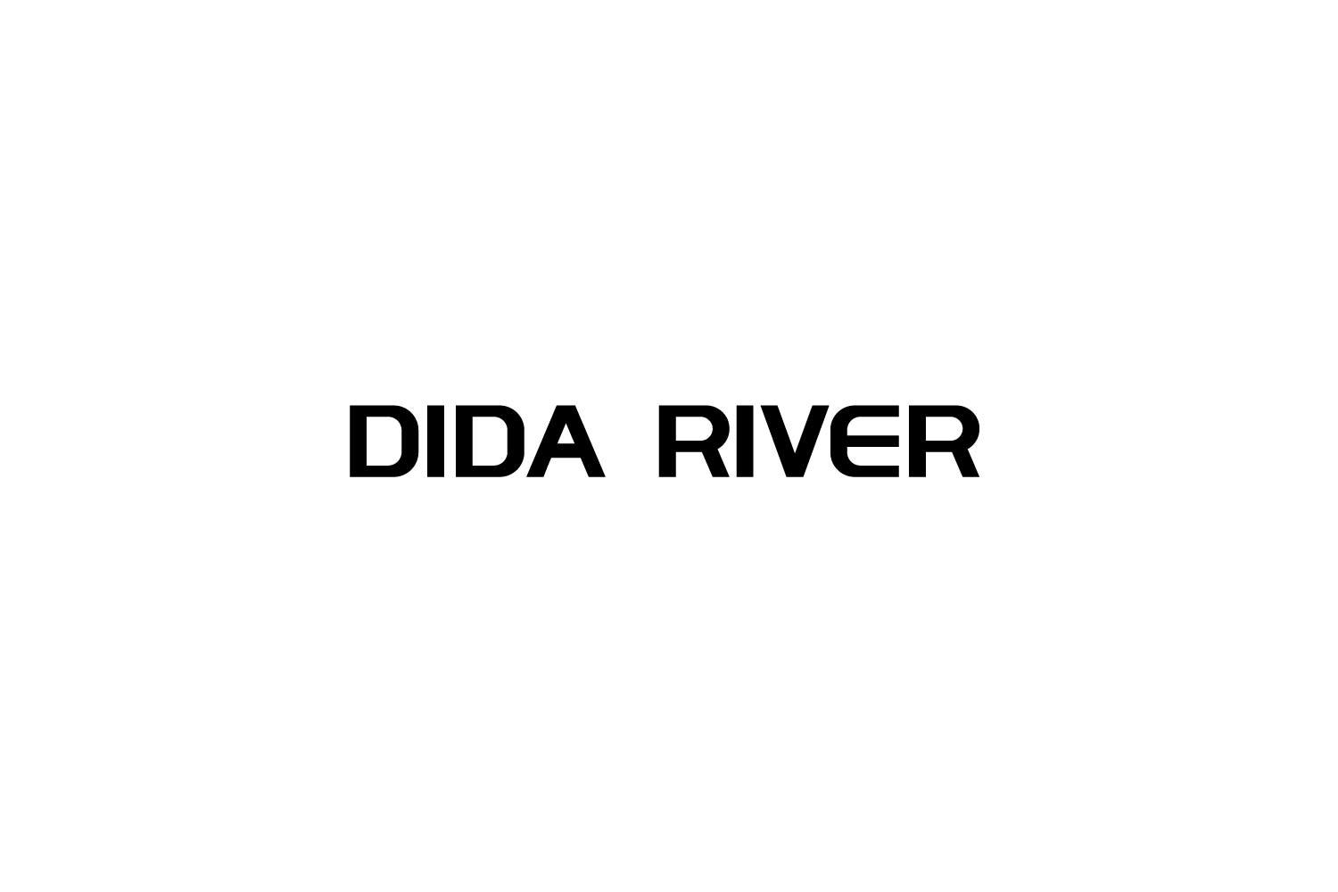 DIDA RIVER商标转让